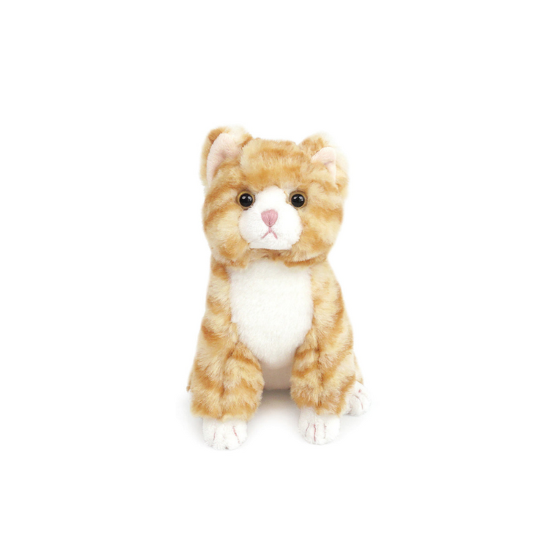 Chichi Kitty - Small