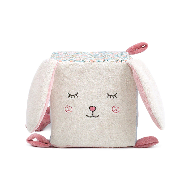 Bunny Activity Cube