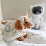 Archie Astro