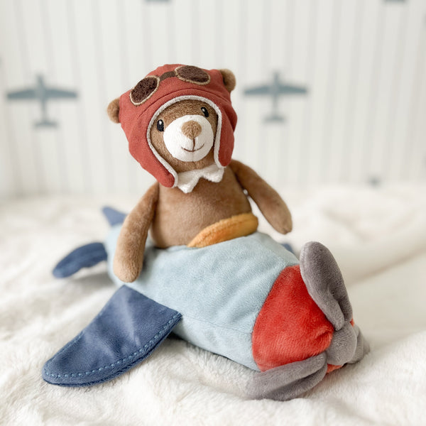 Pilot Bear and Plane