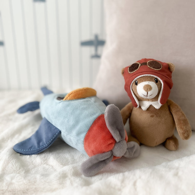 Pilot Bear and Plane