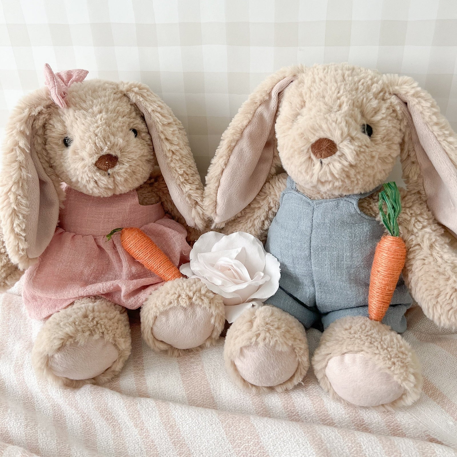Bramble Bunny – Mon Ami