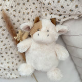 Mocha Petit Cow