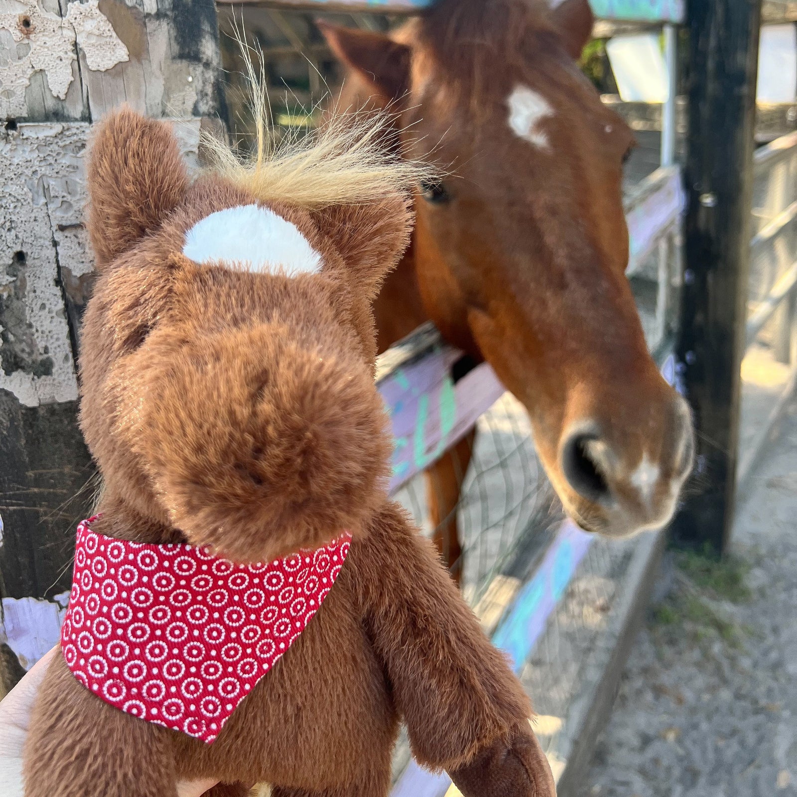 【新品未開封】monmimi horse and  80 馬　baby Cinnamon Horse – Mon Ami