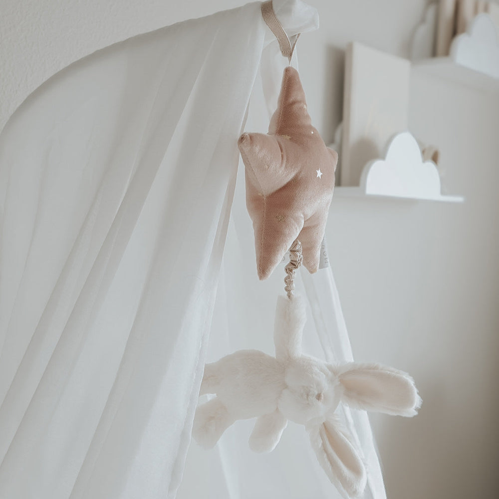 Bunny Music Mobile – Mon Ami