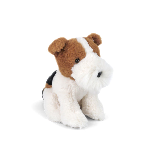 JACK RUSSEL / MULTI