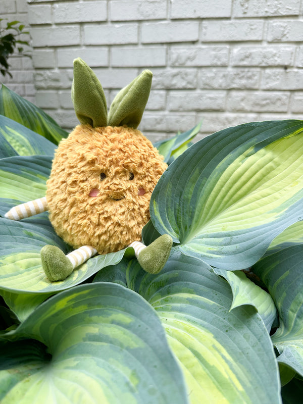 Pina Pineapple/Yellow