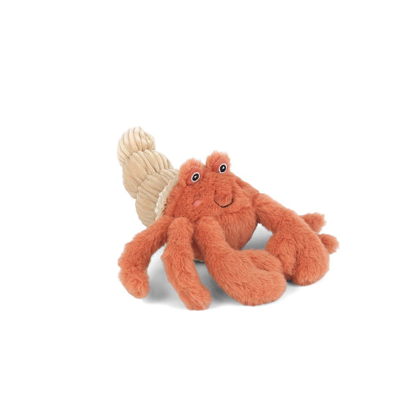 HERMIT CRAB