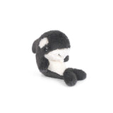 Onyx Orca