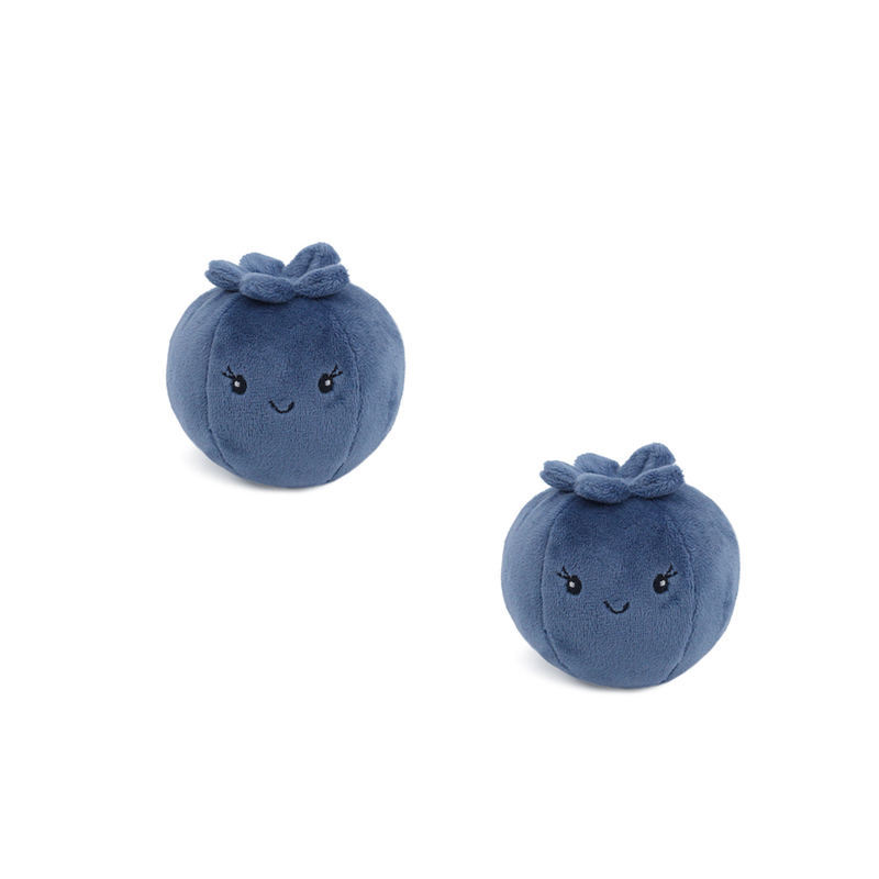 Blueberry Scented Plush Toy-2pcs assortment