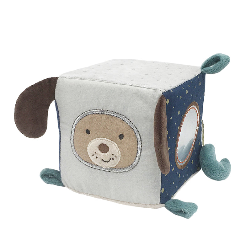 Astro Dog Activity Cube