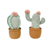 Cactus Pot Shelf Sitter - 2 Asst