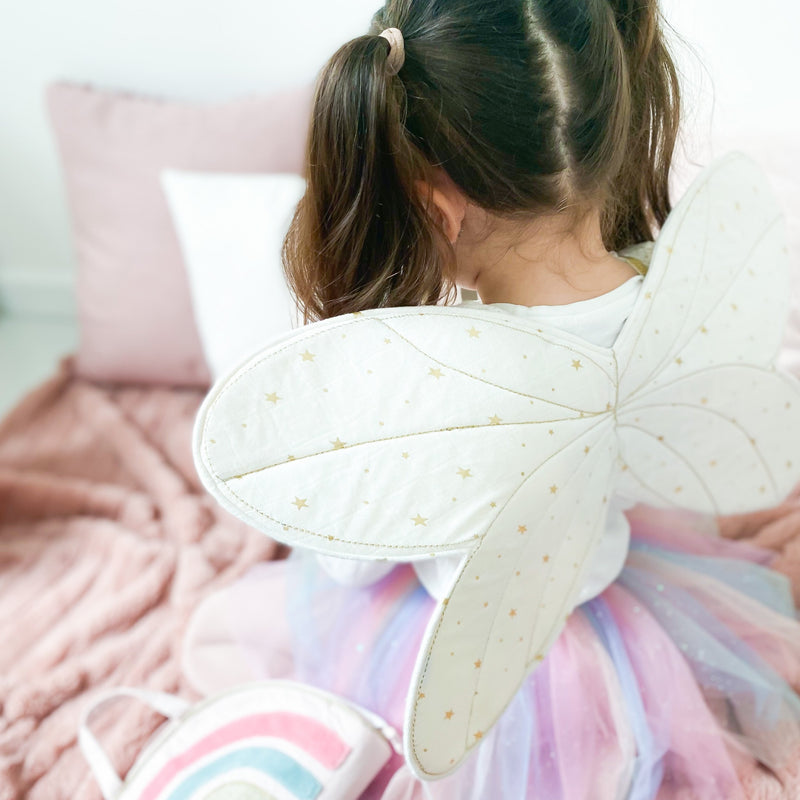Fairy Wings and Star Magic Wand Dress up Set